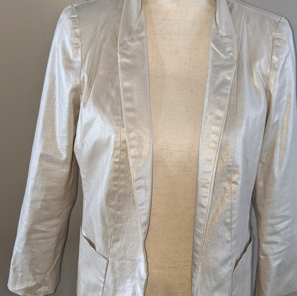 Camilla Tree Silver Blazer with Hot Pink Liner - Picture 3 of 10